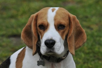 ����� ������, ������� �� ��� ��������� ��������