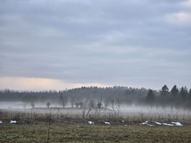 ������ � �������� ��������: ������� ����� � ����� ������� ������