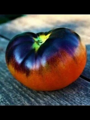 ��� ��������� ��������� ����������� ������: ����� ��������� ������������