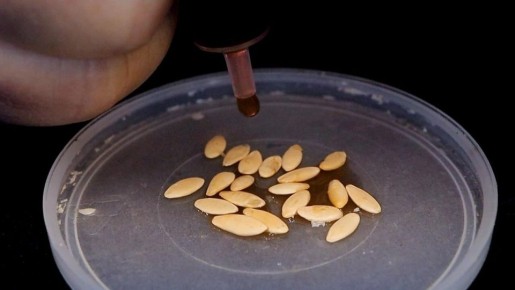 ����� �������������: ��� ��������� ������ � �����