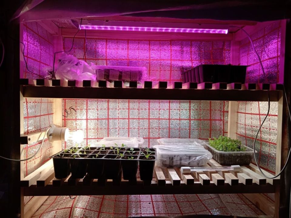 Как создать мини-теплицу для рассады: идеи и советы