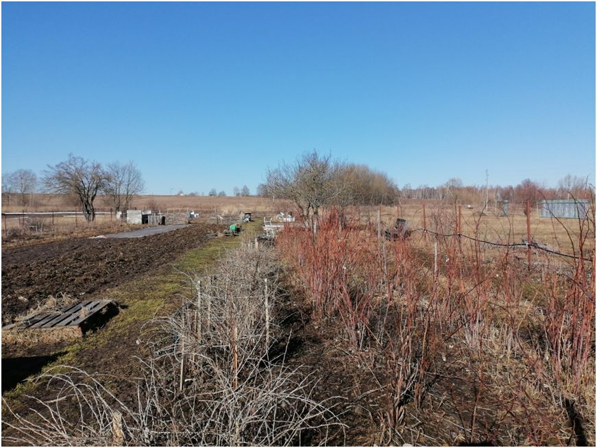 Первые визиты на участок под солнечным мартом: что успели заметить после зимы
