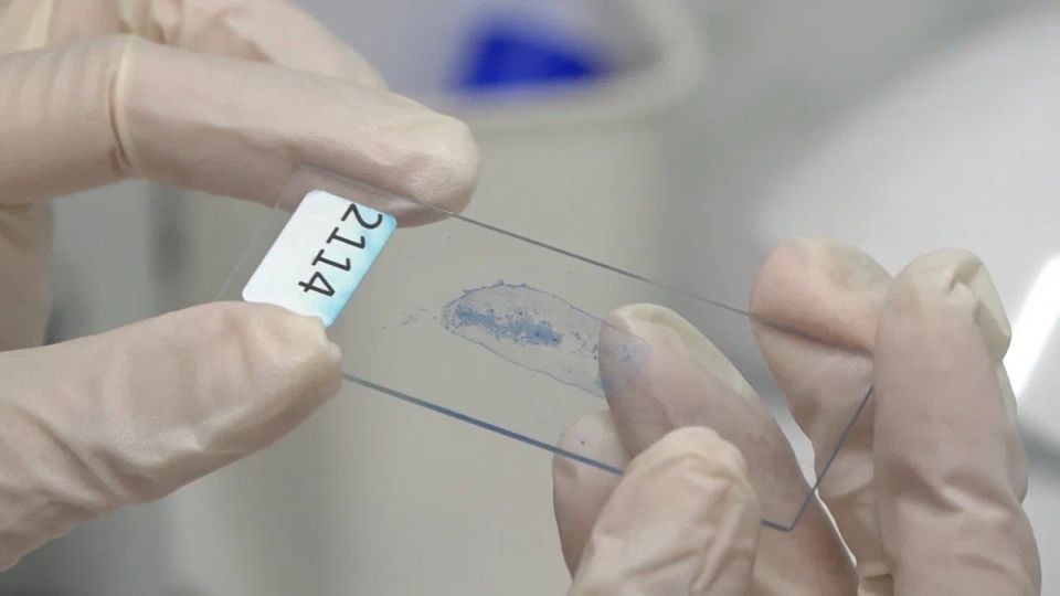 ����� ������� ����� ������������ � �����