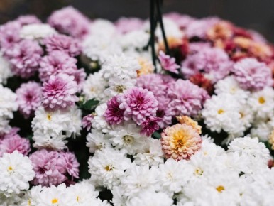 ����� ��������� � ������: ��� ������� ��� ��������� ����� � ����