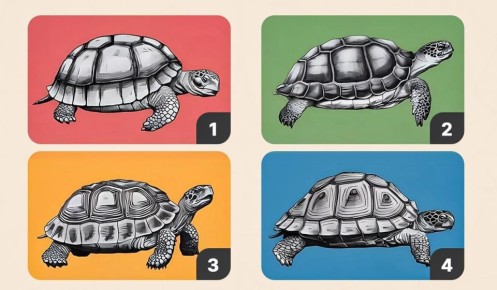 Какую картинку выбирают терпеливые люди и что это говорит о характере