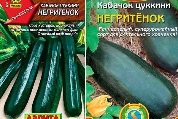 Негритёнок — спокойное решение для тёмно-зеленых кабачков с хорошей хранкостью