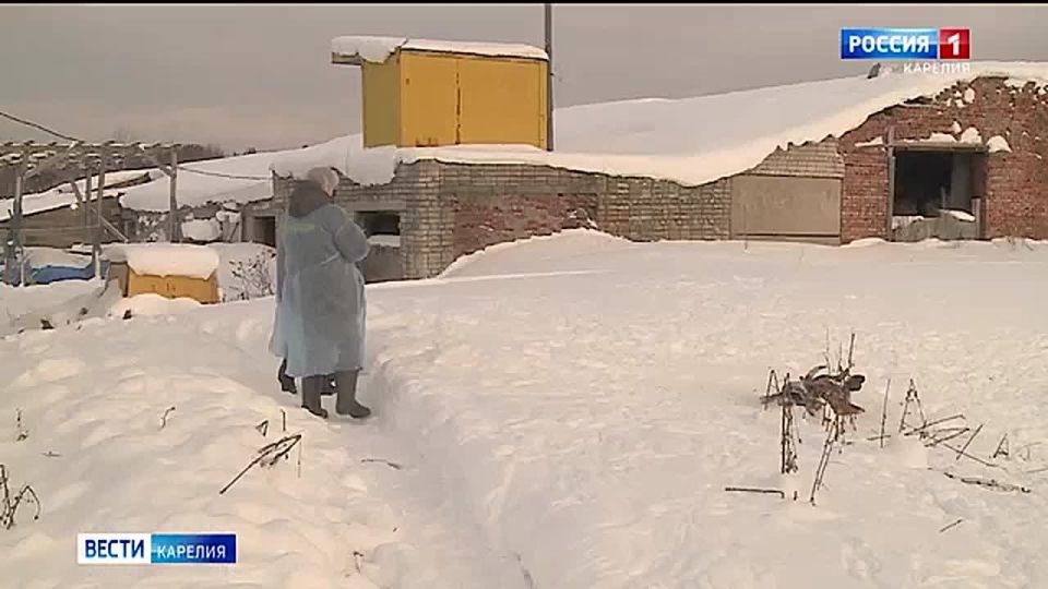 �������� �����: ���������������� ������� ����� �� ����� � ��������, ��� ����� ���������� ������� �������� ��������