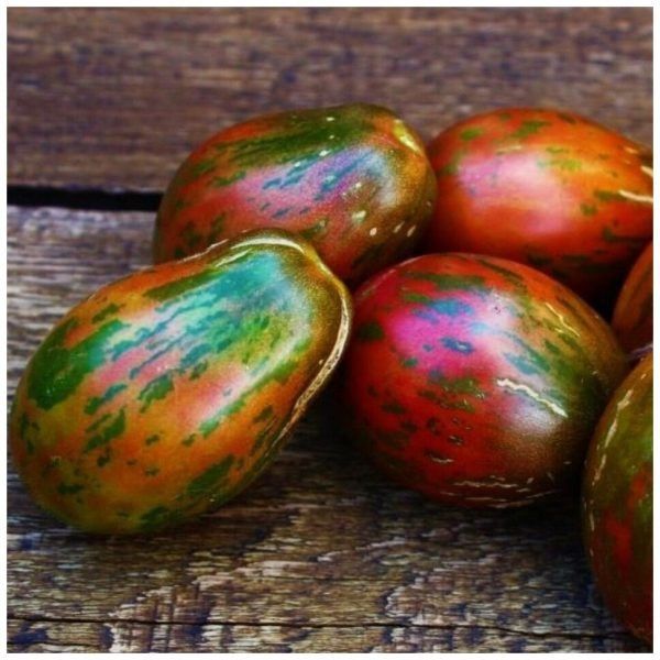 Томат Морские колокольчики: спокойная находка для огорода с декоративной окраской и вкусом