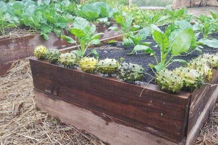 � � ��� �������� ��������� �����: 16 ���������� ������� � ������� �������