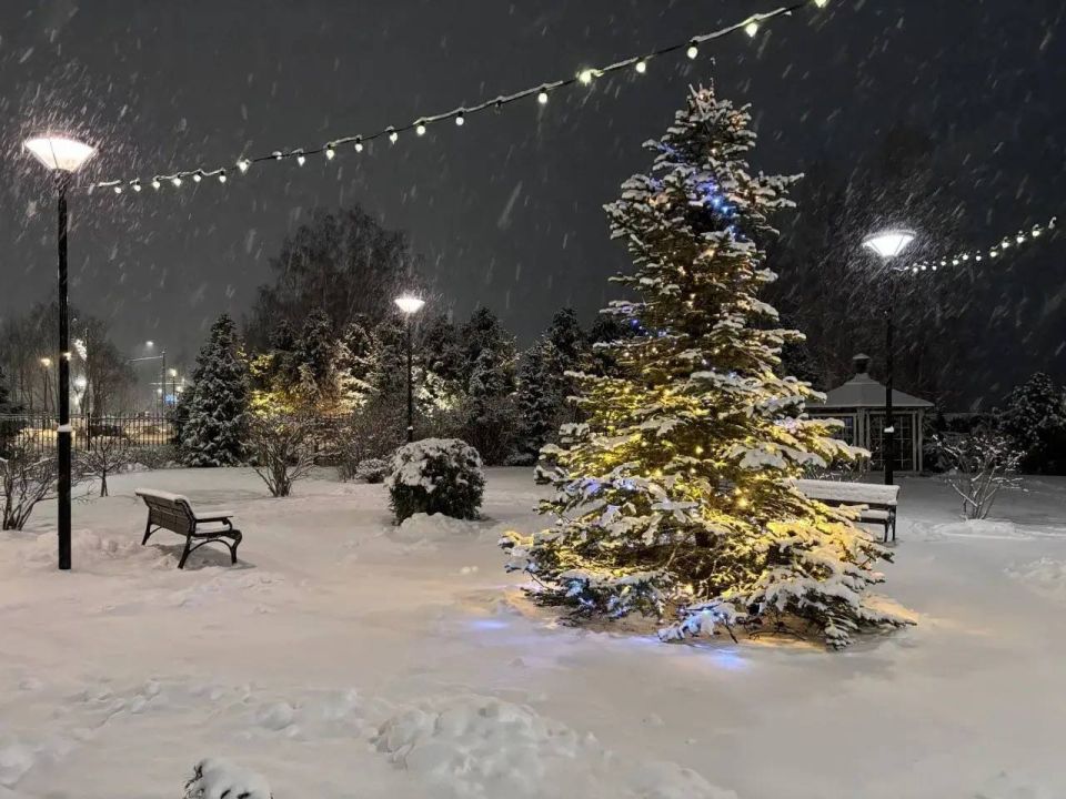 �����������: ����� �������� ���������� ����