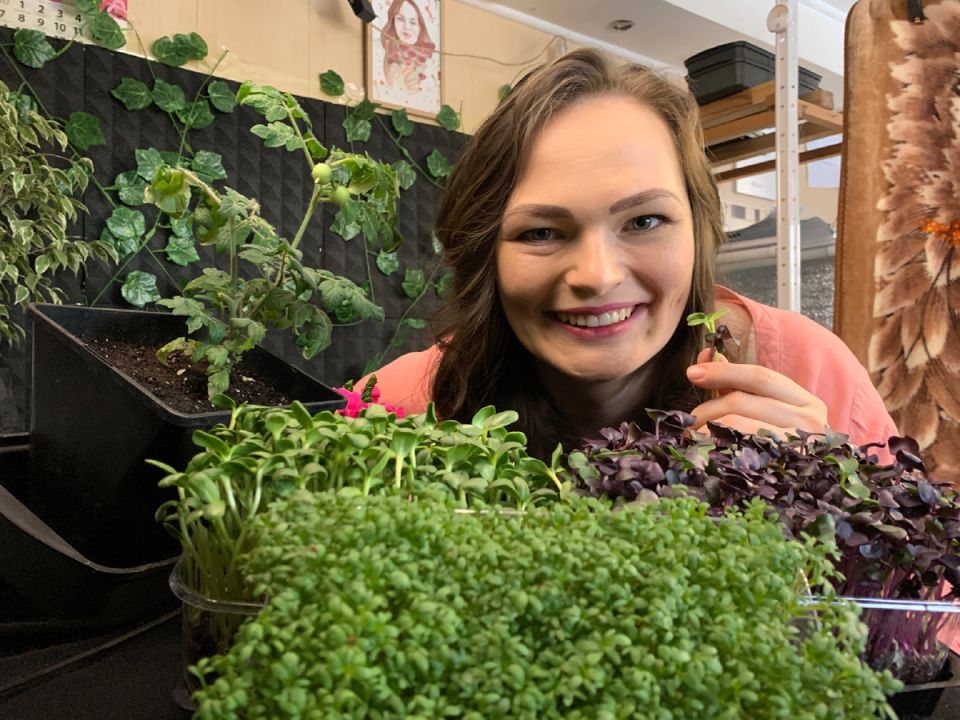 Как вырастить микрозелень в домашних условиях: секреты и советы по уходу