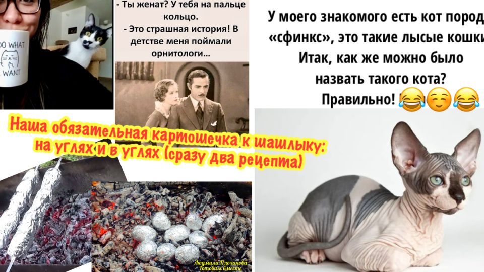 ��� ����������� ��������� �������� �� ����� ��� �������