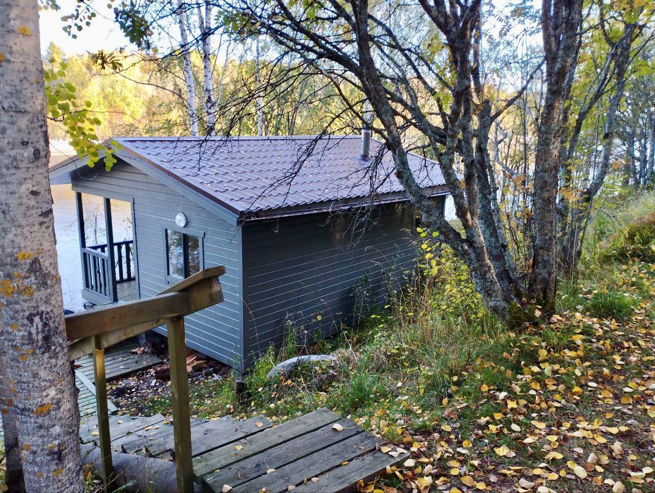 Прокуратура Медвежьегорского района провела проверку исполнения законодательства об охране окружающей среды и землепользовании Прокуратура Медвежьегорского района провела проверку исполнения законодательства об охране окружающей среды и землепользовании