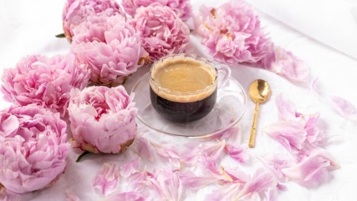 ��� ��� ��������� ���������� ����������� ����: ��������� 99% ��������