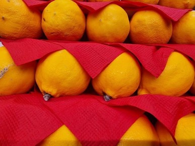 ��� ������ ���������� ����� �� ������������: ��� �������� ������ ���� ��� ����� � ����� ����