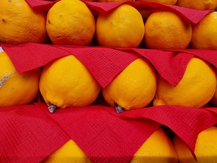 Как убрать неприятный запах из холодильника: эти средства всегда есть под рукой в любом доме