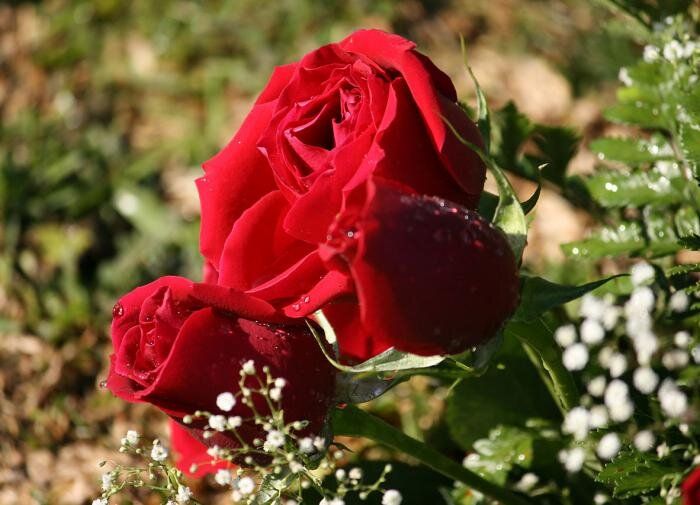 ��� ��������� ���� �� ����� �����: ������ �� ��������� �������� ������