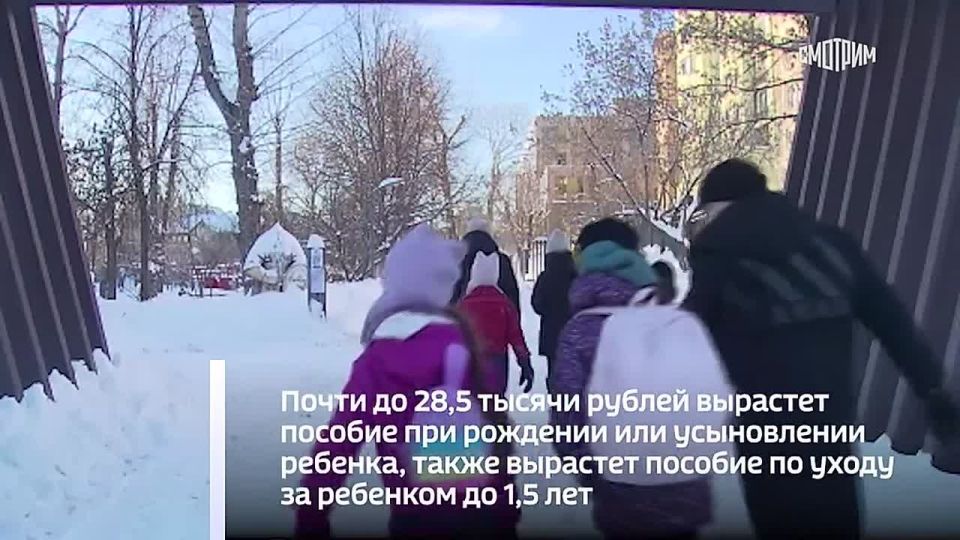 Новые законы в России, которые вступают в силу в феврале