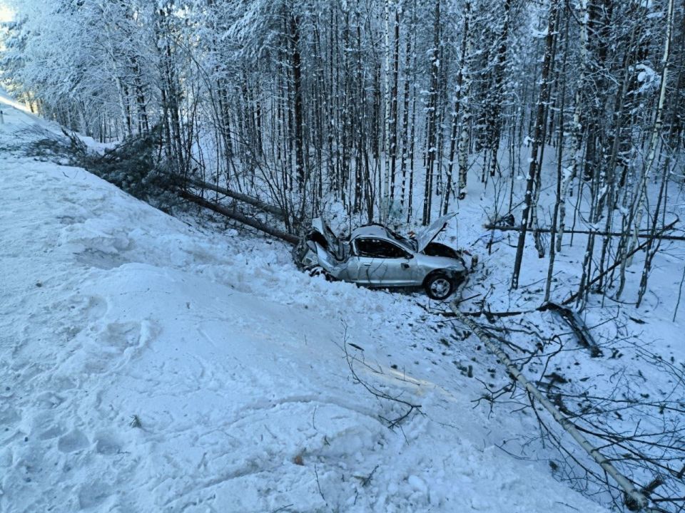 � ������� ��������� ����� ������ ���� � ����� � ���