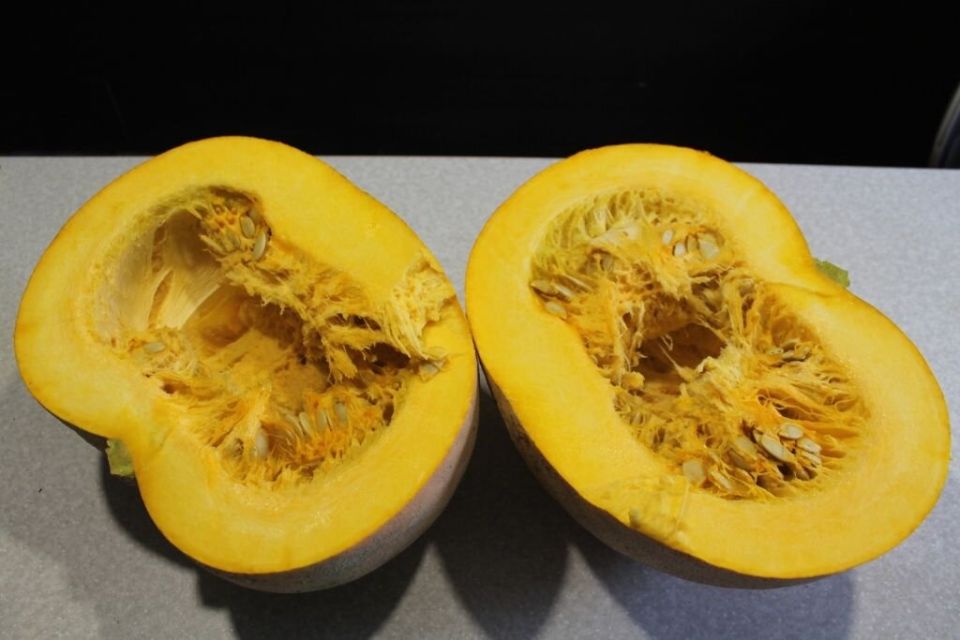 ������� �������� �����: ��� �������� �������� �� �����