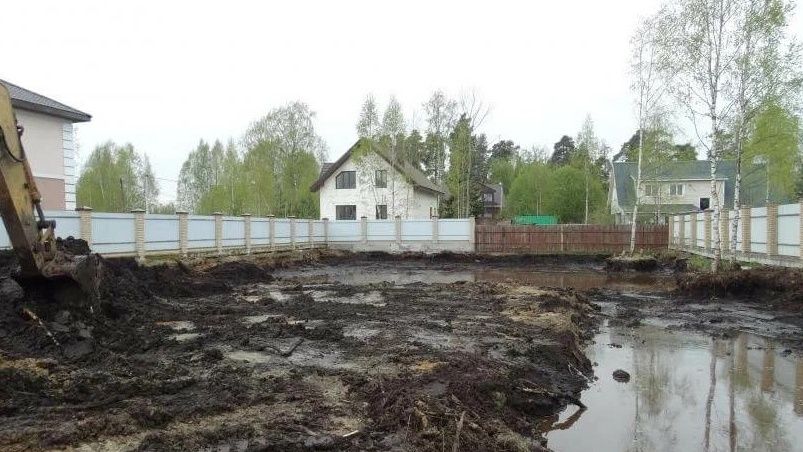 Как неприметные растения превратили заброшенный участок в уютный сад