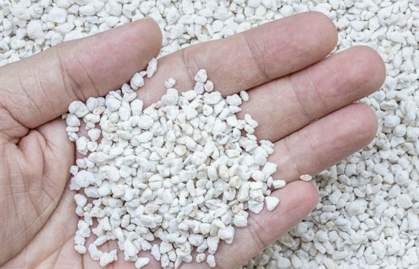 Перлит для растений: как избежать подводных камней