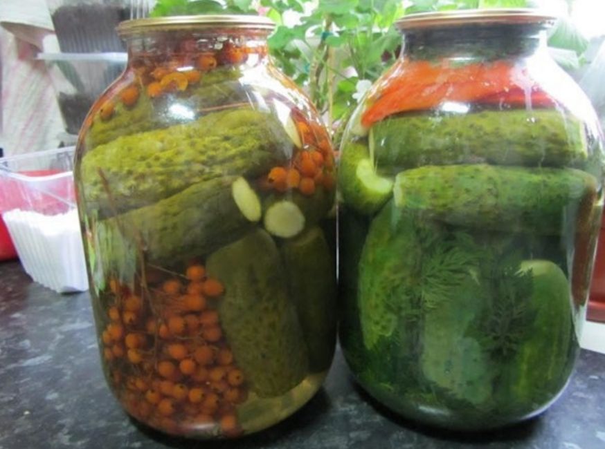 ������������ ������������ ������ � ������� �� ����������� �������