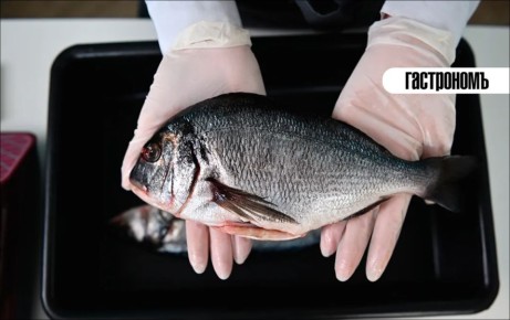 Как разобраться в состоянии рыбы: секреты выбора свежего продукта