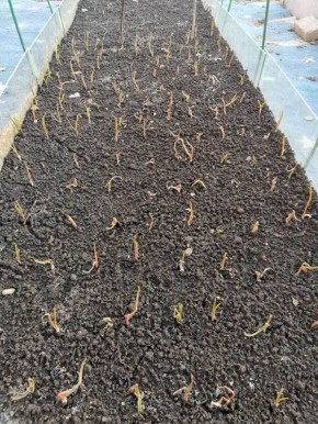 ������� ������� ������� ������� ������� ��� ������ ������