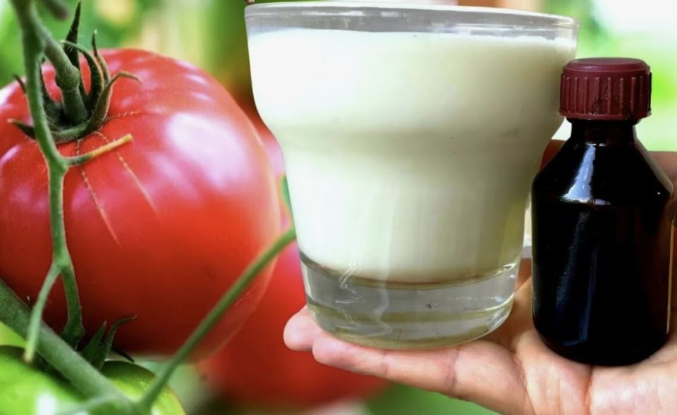 ��� ��� � ������ �������� ��������� ��� ������ �������