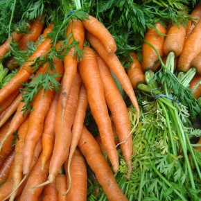 Как вырастить идеальную морковь, побеждая сорняки