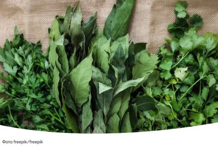 ��� ��������� ������ �� ����: ������� � ����������� ������ ���������