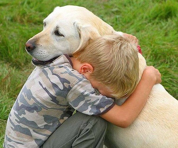 ���������� �������: �������� ����� ���������� � �� �����������