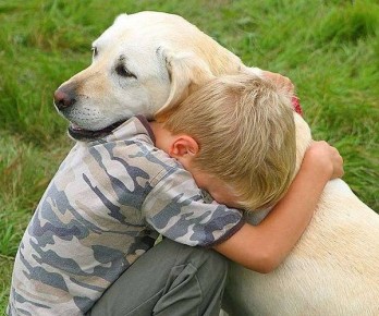 ���������� �������: �������� ����� ���������� � �� �����������