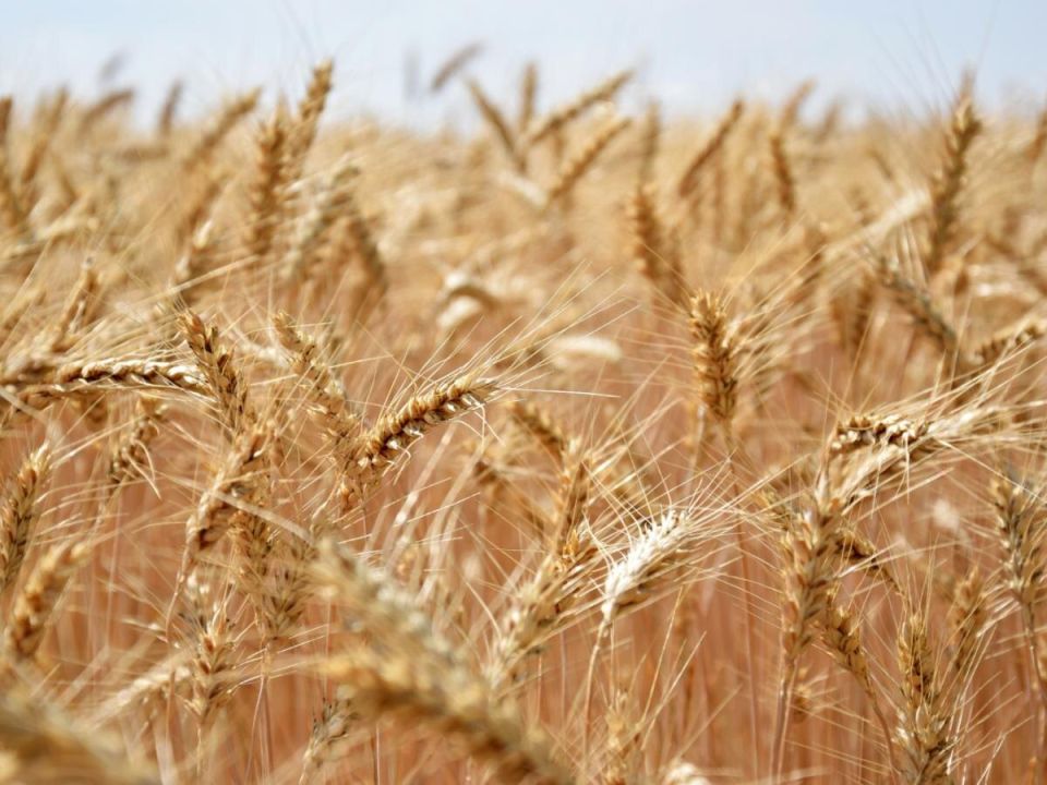 ������ �������� � ������ ������ �����������