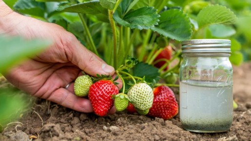 ��������� ���� �� ������ ����� � ������ � ��������� ������ �������� �������