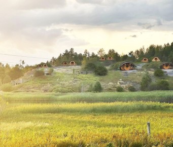 ������ �������� �������� � �������