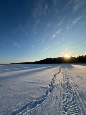 ������ ����. ���� ��������