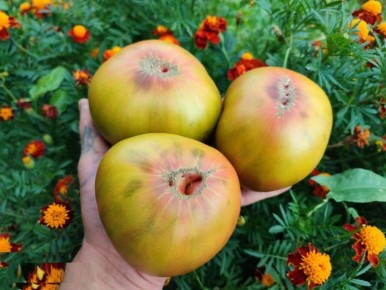 ��������� ������: ��� ���� ����������� �������� ����������� ������ ���������