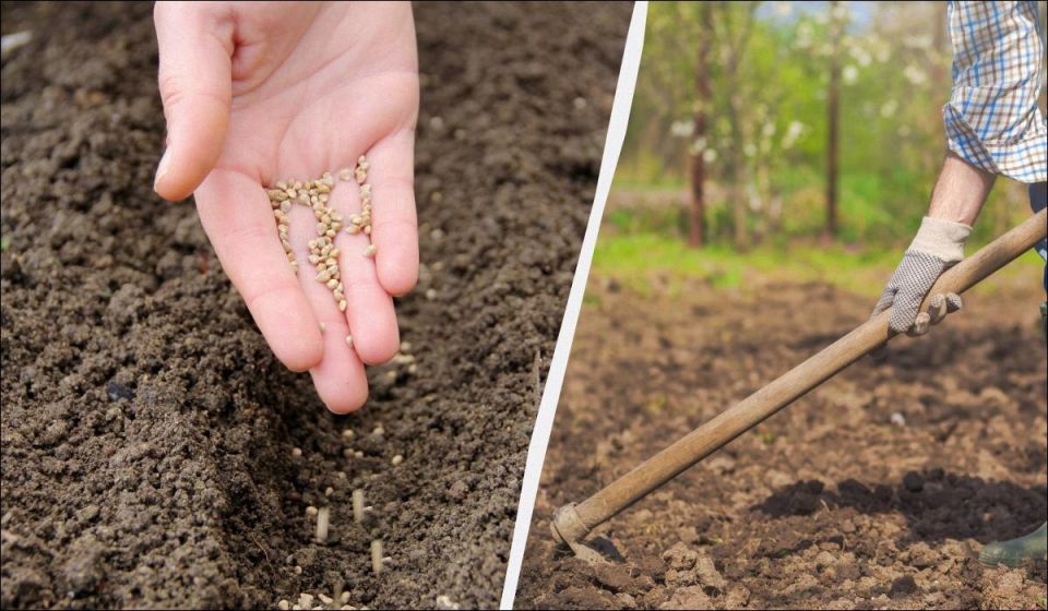 ��� ����������� ������� � ����: ���� ������ ��� ���� ��� ������ ������