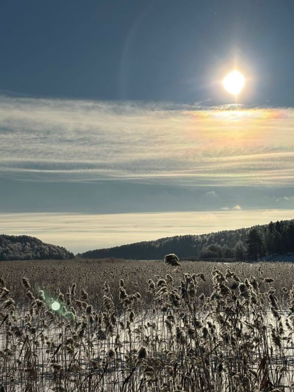 �������� �����. ����: ����� ����������