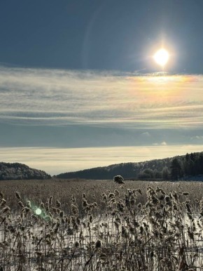 �������� �����. ����: ����� ����������