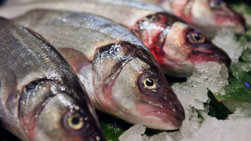 ���������� �����: ��������� � ���������� ������ ��� � �������