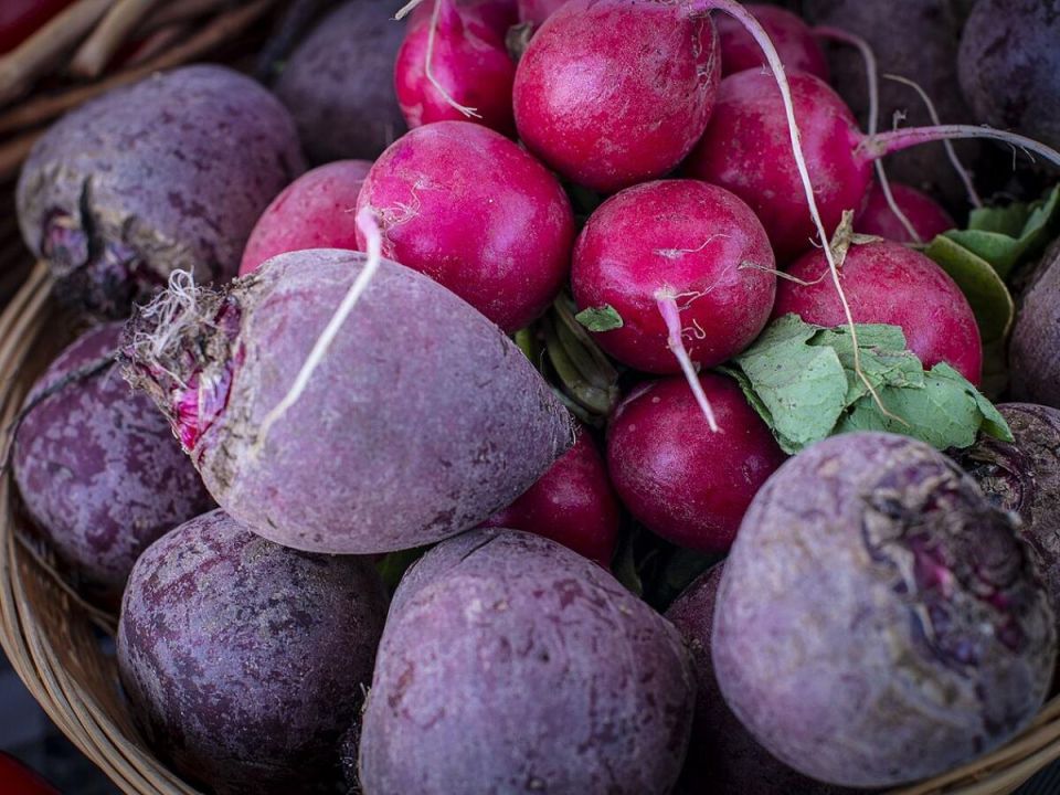 Как правильно вырастить свеклу: советы для начинающих