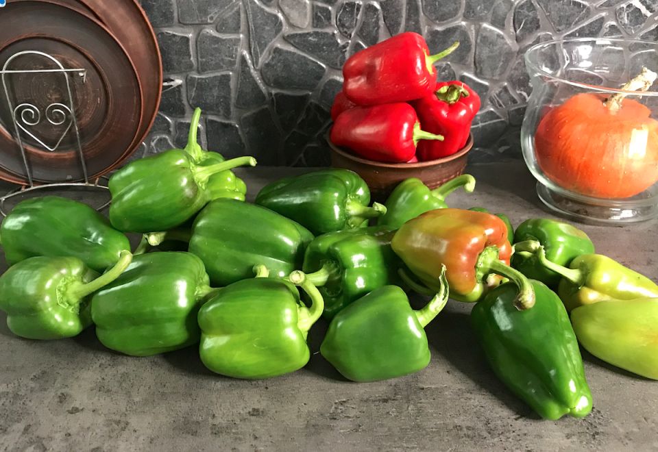 ���������� ����� � ��������: ����������� ����� �� ��� ����