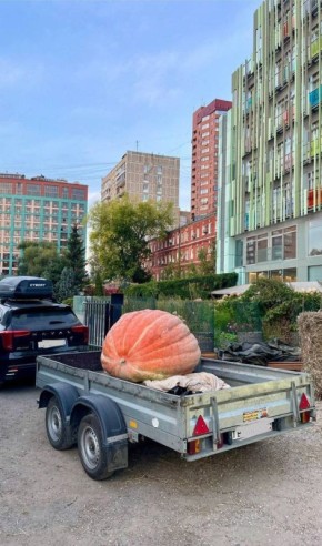 �������� ���������� �����: ��� ������� � ���� ������ �� �������� � ������������ �������