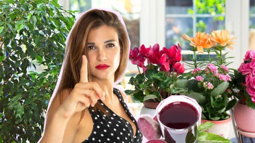 �� ��������� ����� �� ������ � ��������: ����� ������� �� �����