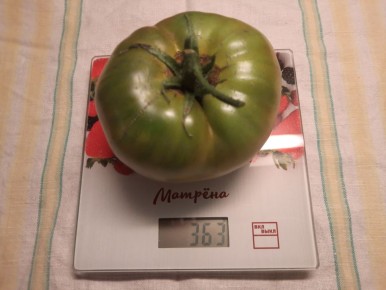 ������ ������� ������ ����������� ��������? ����������� � ��������