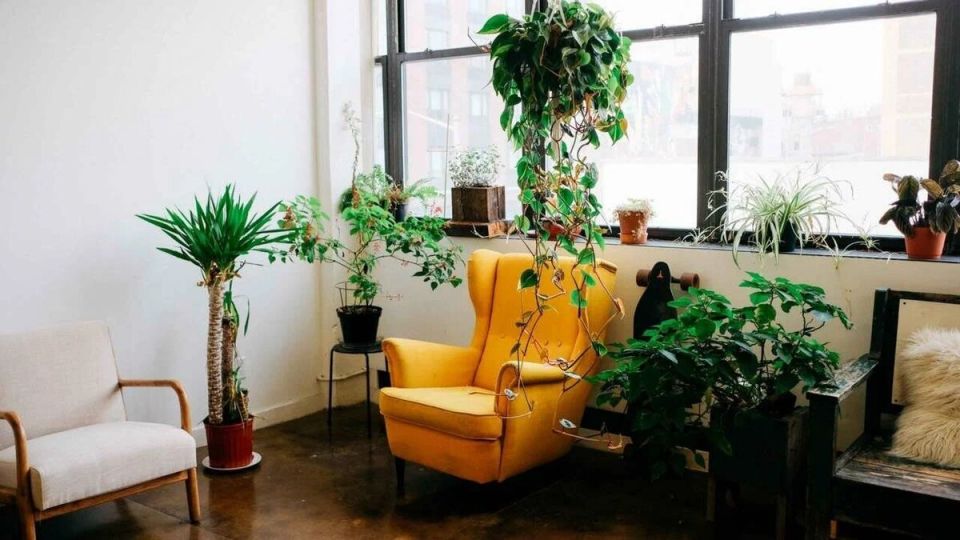 ��� ��������� ������: ���-10 ��������� �������� �� �����