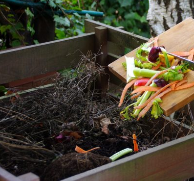 Секреты успешного компоста: что стоит, а что не стоит добавлять